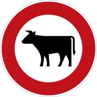 Verkehrszeichen 257-53